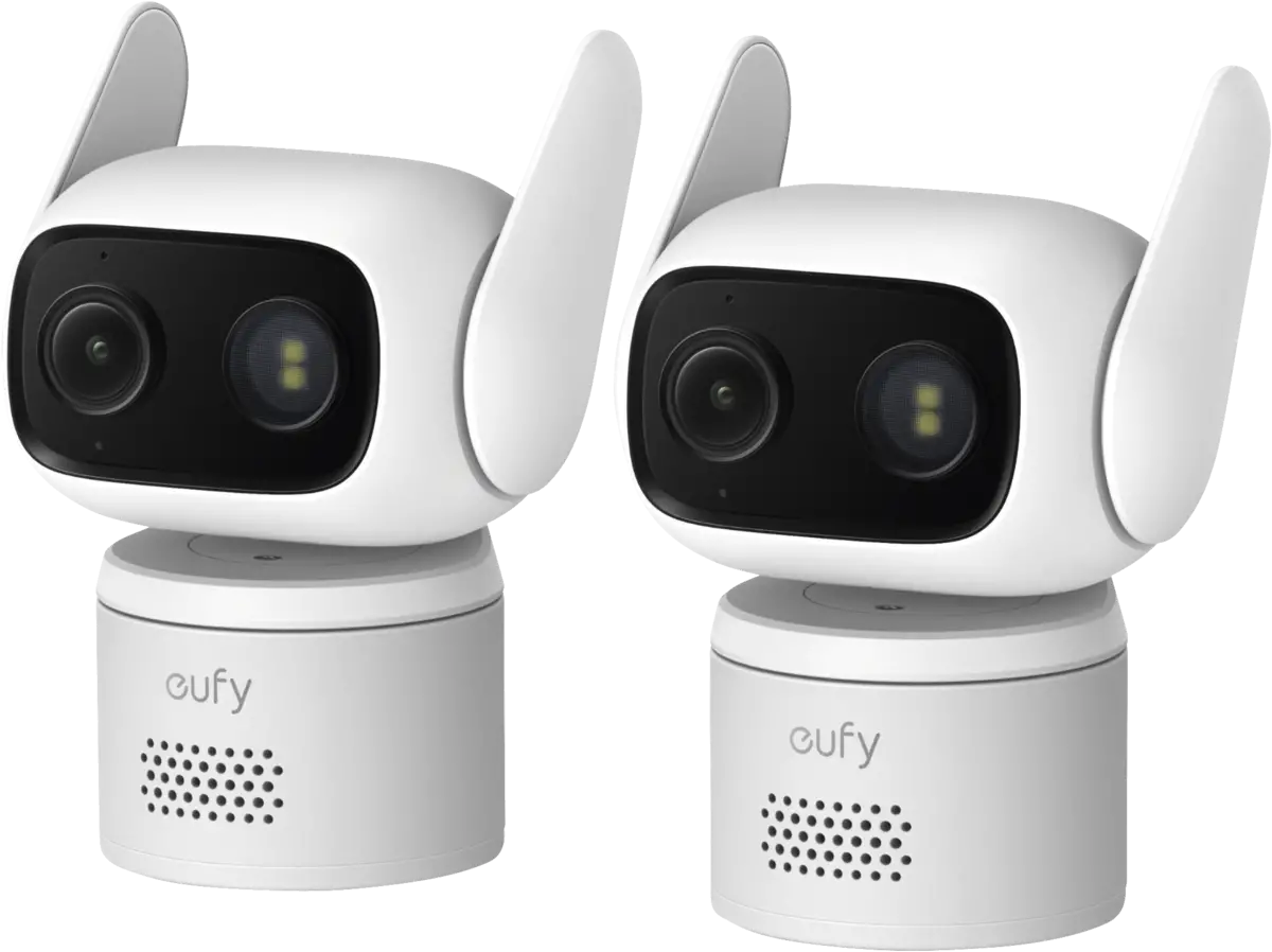 WiredCam C31 2-Cam Pack