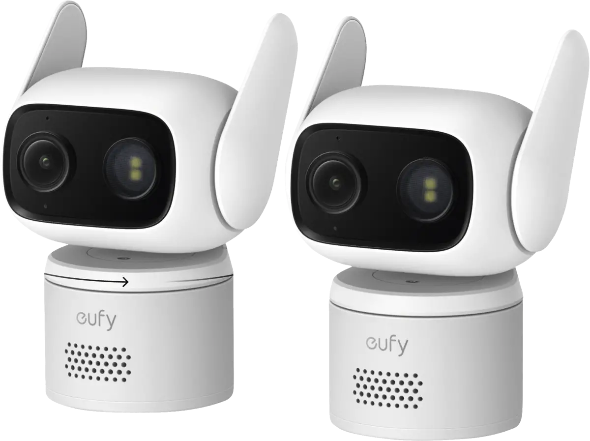 WiredCam C31 2-Cam Pack