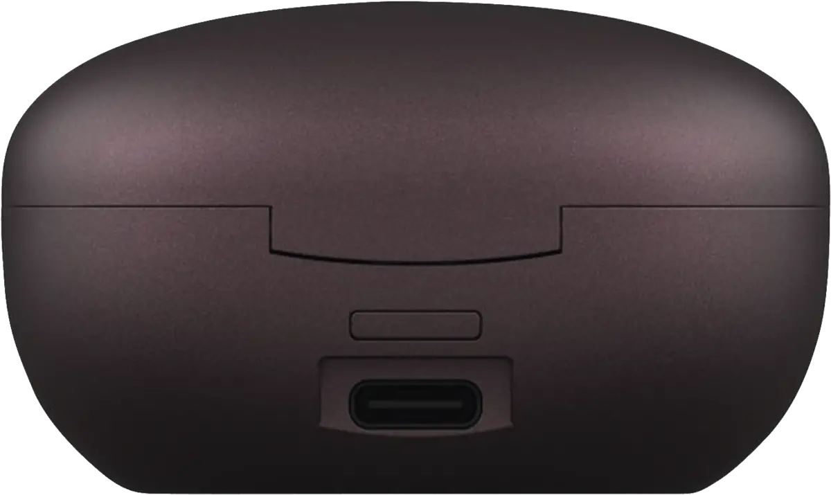 221570 TWINS RISE TWS ANC