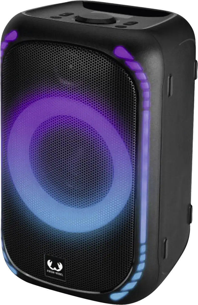 221545 Party Speaker Medium