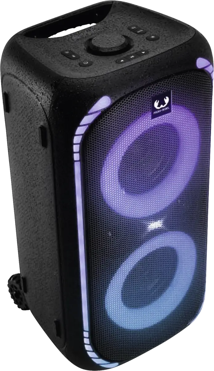 221546 Party Speaker Large with Trolley