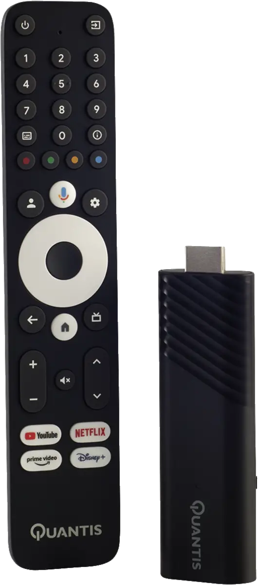 QE600 Google TV stick