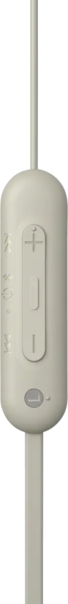 WI-C100