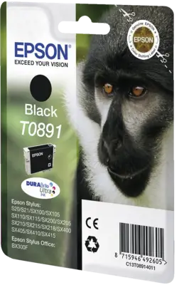 Epson T0891