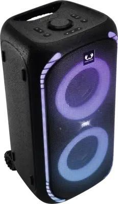 221546 Party Speaker Large with Trolley