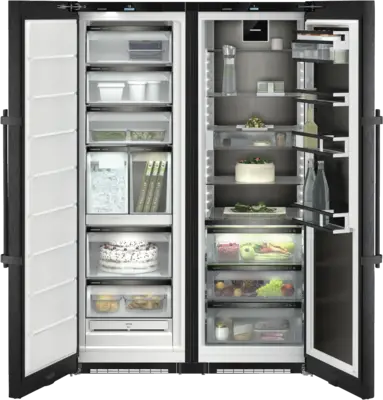 XRFbs 5295-23 (SFNbsd 529i-23+SRBbsc 529i-23)