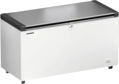 Liebherr EFL 4656-21