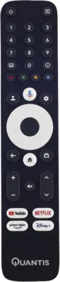 QE600 Google TV stick