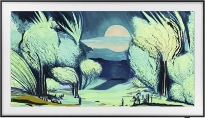 Samsung F-QE55LS03FAUX