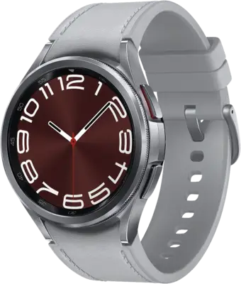 Samsung R955 GALAXY WATCH6 43MM LTE STAIN