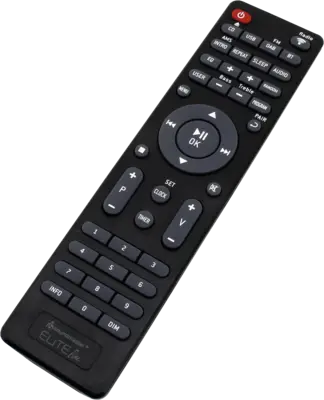ICD5000SW