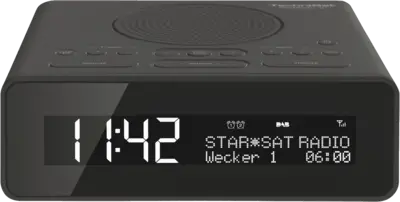 Technisat Digitradio 51